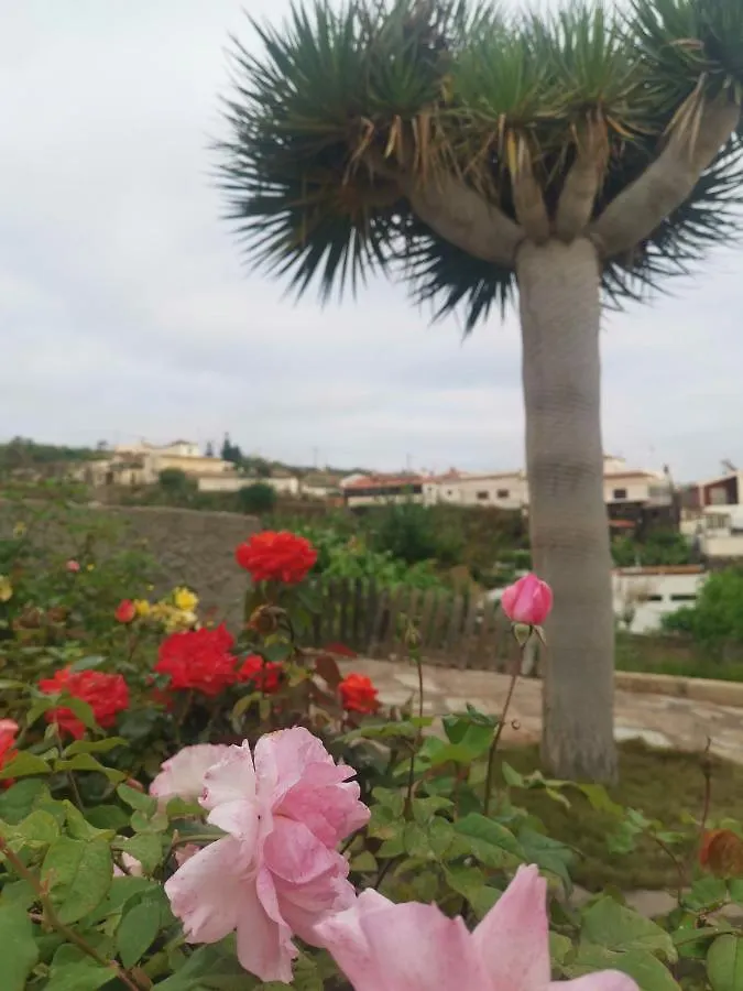 Casa Rural Dolores En Adeje 아데제 0*,  스페인