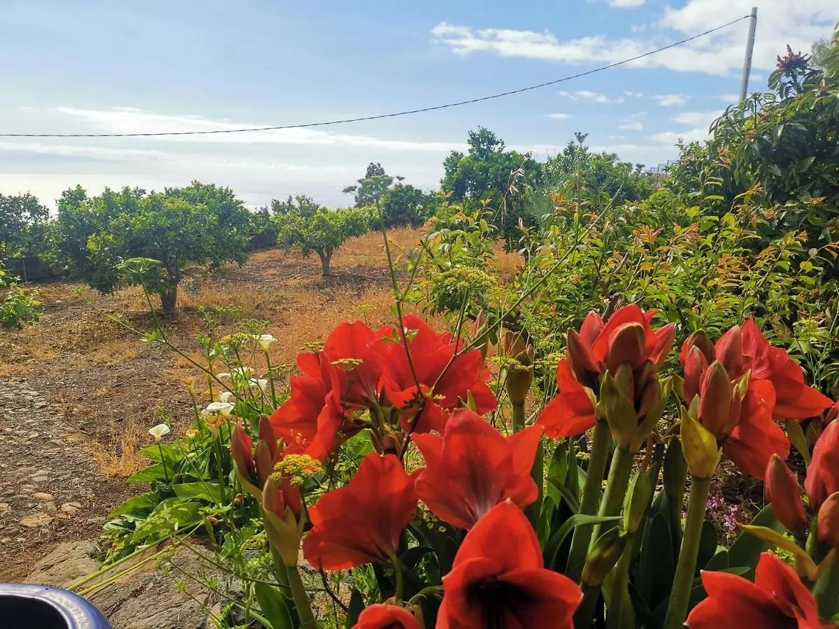Casa Rural Dolores En Adeje 아데제 0*,  스페인